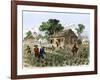 Cultivation of Tobacco in Colonial Virginia-null-Framed Giclee Print