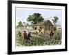 Cultivation of Tobacco in Colonial Virginia-null-Framed Giclee Print