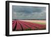 Cultivation of Tulips Ans a Windmill-Jan Marijs-Framed Photographic Print