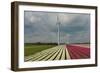 Cultivation of Tulips in Spring-Jan Marijs-Framed Photographic Print