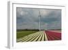 Cultivation of Tulips in Spring-Jan Marijs-Framed Photographic Print