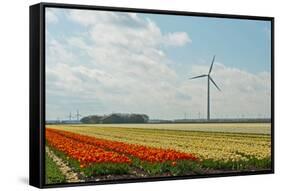 Cultivation of Tulips-Jan Marijs-Framed Stretched Canvas