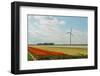 Cultivation of Tulips-Jan Marijs-Framed Photographic Print