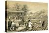 Culture and Preparation of Tea, China, 1847-E Gilks-Stretched Canvas