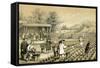 Culture and Preparation of Tea, China, 1847-E Gilks-Framed Stretched Canvas