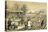 Culture and Preparation of Tea, China, 1847-E Gilks-Stretched Canvas