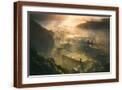 Brown Frame
