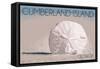 Cumberland Island, Georgia - Sand Dollar-Lantern Press-Framed Stretched Canvas