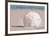 Cumberland Island, Georgia - Sand Dollar-Lantern Press-Framed Art Print