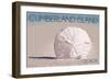 Cumberland Island, Georgia - Sand Dollar-Lantern Press-Framed Art Print