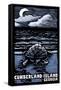 Cumberland Island, Georgia - Sea Turtle on Beach - Scratchboard-Lantern Press-Framed Stretched Canvas