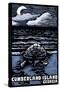 Cumberland Island, Georgia - Sea Turtle on Beach - Scratchboard-Lantern Press-Stretched Canvas