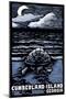 Cumberland Island, Georgia - Sea Turtle on Beach - Scratchboard-Lantern Press-Mounted Art Print