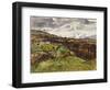 Cumberland Landscape, 1928 (Oil on Plywood)-Christopher Wood-Framed Giclee Print