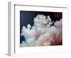 Cumulus, 2021 (acrylic on board)-Helen White-Framed Giclee Print