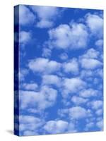 Cumulus Cloud Pattern-Adam Jones-Stretched Canvas