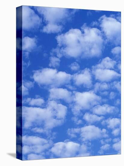 Cumulus Cloud Pattern-Adam Jones-Stretched Canvas