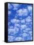 Cumulus Cloud Pattern-Adam Jones-Framed Stretched Canvas