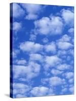 Cumulus Cloud Pattern-Adam Jones-Stretched Canvas