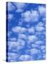 Cumulus Cloud Pattern-Adam Jones-Stretched Canvas