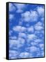 Cumulus Cloud Pattern-Adam Jones-Framed Stretched Canvas