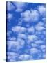 Cumulus Cloud Pattern-Adam Jones-Stretched Canvas