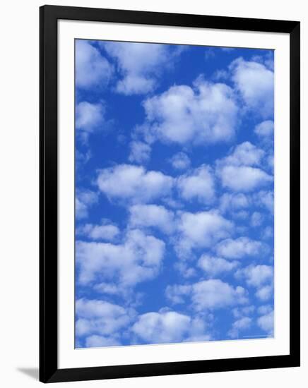 Cumulus Cloud Pattern-Adam Jones-Framed Premium Photographic Print