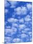 Cumulus Cloud Pattern-Adam Jones-Mounted Premium Photographic Print