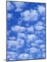 Cumulus Cloud Pattern-Adam Jones-Mounted Photographic Print