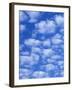 Cumulus Cloud Pattern-Adam Jones-Framed Photographic Print