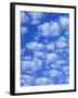 Cumulus Cloud Pattern-Adam Jones-Framed Photographic Print