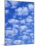 Cumulus Cloud Pattern-Adam Jones-Mounted Photographic Print