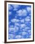 Cumulus Cloud Pattern-Adam Jones-Framed Photographic Print