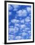 Cumulus Cloud Pattern-Adam Jones-Framed Photographic Print