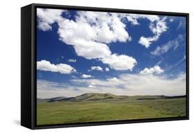 Cumulus Clouds and Blue Sky over Green Fields Near Pine, Idaho, USA-David R. Frazier-Framed Stretched Canvas