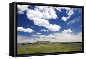 Cumulus Clouds and Blue Sky over Green Fields Near Pine, Idaho, USA-David R. Frazier-Framed Stretched Canvas