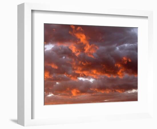 Cumulus clouds at sunrise. Fremont River Valley. Utah, USA-Scott T. Smith-Framed Photographic Print