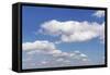 Cumulus Clouds, Blue Sky, Summer, Germany, Europe-Markus-Framed Stretched Canvas