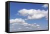 Cumulus Clouds, Blue Sky, Summer, Germany, Europe-Markus-Framed Stretched Canvas