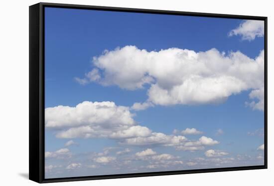 Cumulus Clouds, Blue Sky, Summer, Germany, Europe-Markus-Framed Stretched Canvas