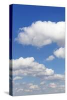 Cumulus Clouds, Blue Sky, Summer, Germany, Europe-Markus-Stretched Canvas