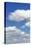 Cumulus Clouds, Blue Sky, Summer, Germany, Europe-Markus-Stretched Canvas