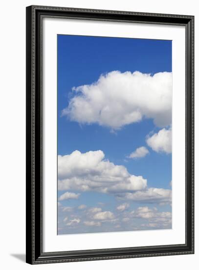 Cumulus Clouds, Blue Sky, Summer, Germany, Europe-Markus-Framed Photographic Print