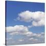 Cumulus Clouds, Blue Sky, Summer, Germany, Europe-Markus Lange-Stretched Canvas