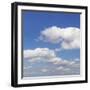 Cumulus Clouds, Blue Sky, Summer, Germany, Europe-Markus Lange-Framed Premium Photographic Print