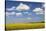 Cumulus Clouds over a Rape Field, Swabian Alb, Baden Wurttemberg, Germany, Europe-Markus Lange-Stretched Canvas