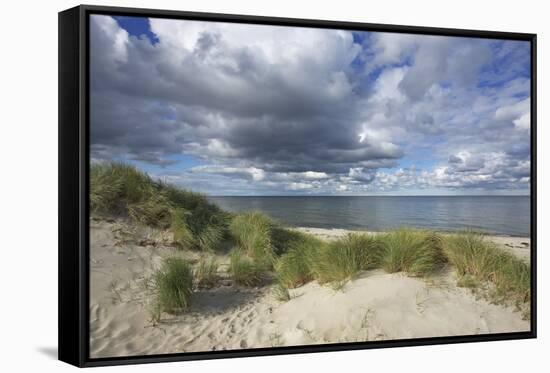 Cumulus Clouds over the Dunes of the Western Beach of Darss Peninsula-Uwe Steffens-Framed Stretched Canvas