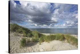 Cumulus Clouds over the Dunes of the Western Beach of Darss Peninsula-Uwe Steffens-Stretched Canvas
