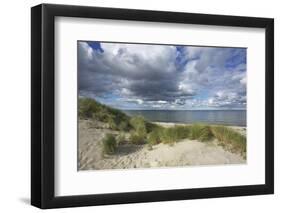 Cumulus Clouds over the Dunes of the Western Beach of Darss Peninsula-Uwe Steffens-Framed Photographic Print