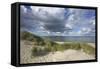 Cumulus Clouds over the Dunes of the Western Beach of Darss Peninsula-Uwe Steffens-Framed Stretched Canvas